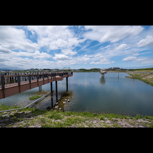 日本最古のダム式ため池／狭山池　※撮りためていた写真から。