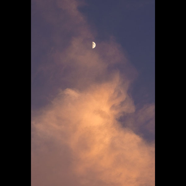 夕焼け雲と上弦の月