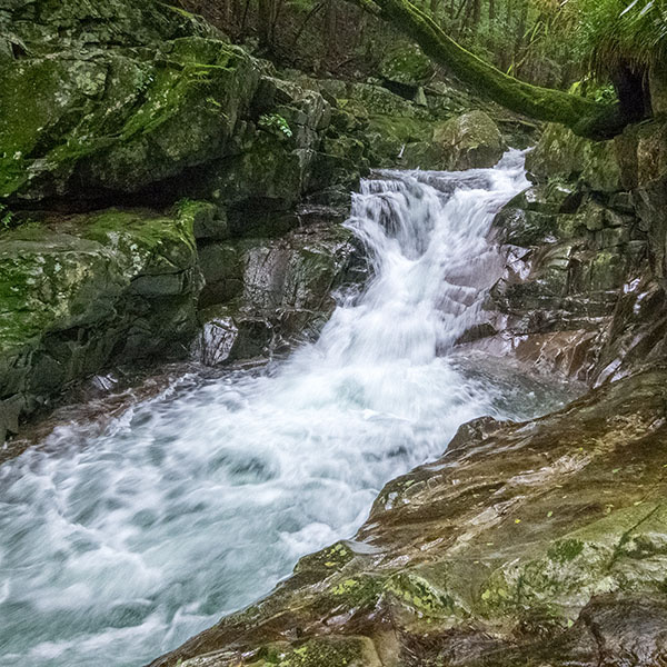 洞川温泉近辺の「河鹿の滝」