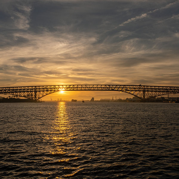 ����`�̗[�i