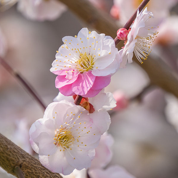 �~�̎ʐ^������~��