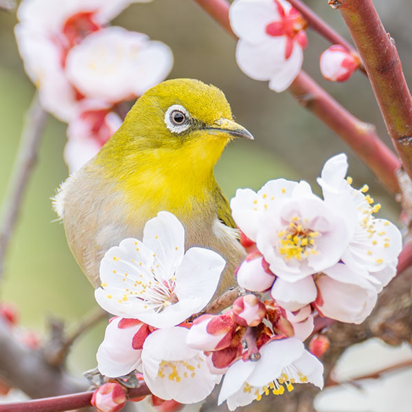 ���W��������~��