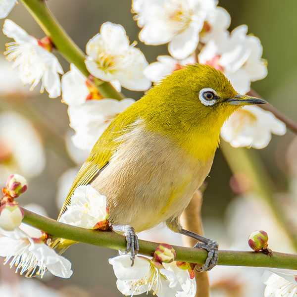 ���W��������~��