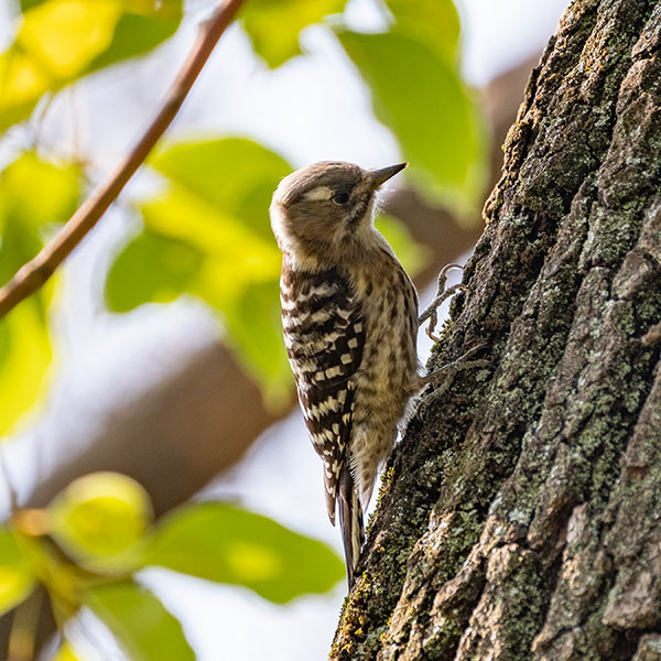 �R�Q�����������