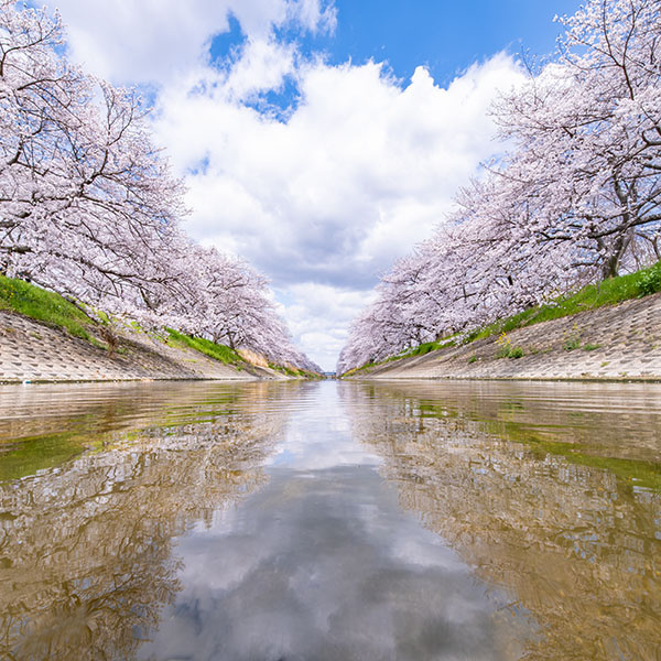 �G�߂̎ʐ^�u���v