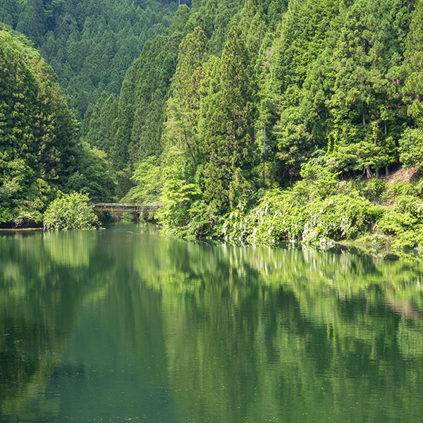 �ޗǁ^�\�Ð���ʂ̕��i