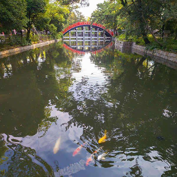 �Z�g��Ё^���ۋ�