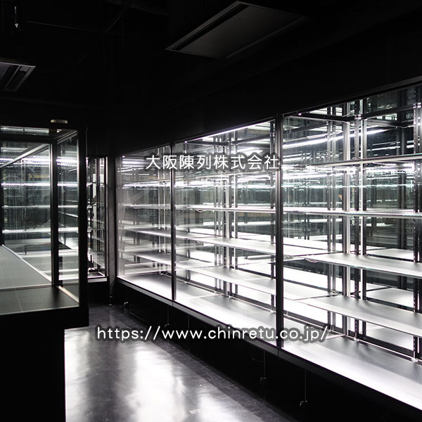 �~���[�W�A���l���^�͌^�W���p�V���[�P�[�X�i�R���N�V�����P�[�X�j