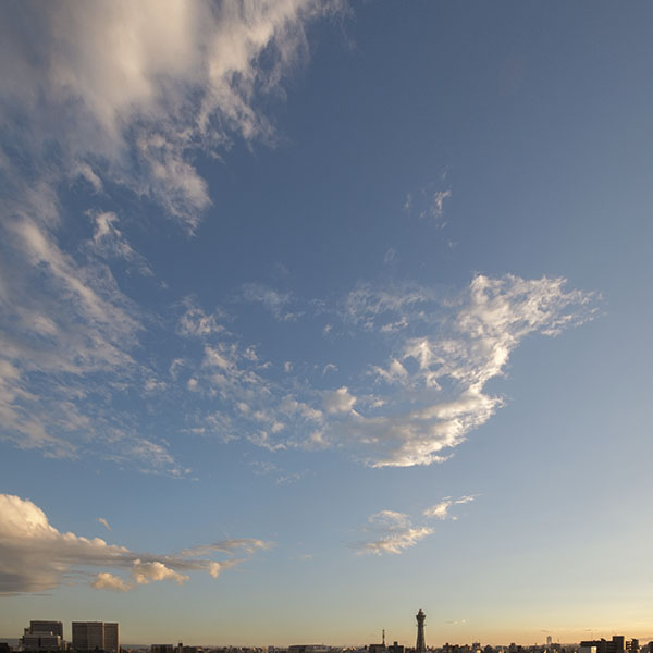 �V�t���܂ޗ[�i