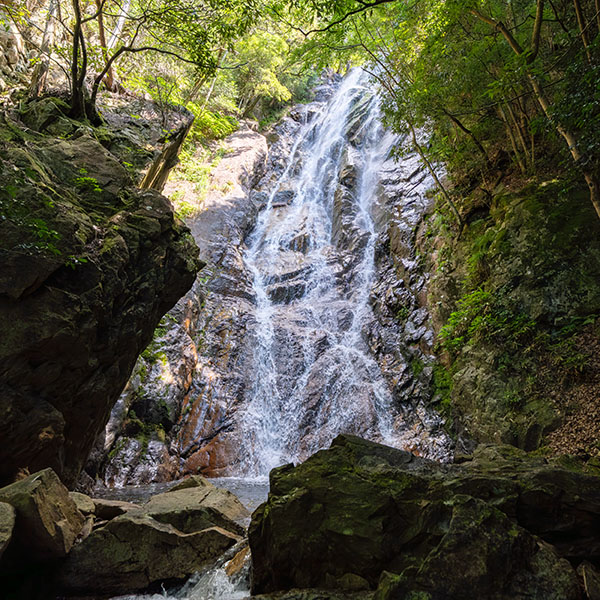 �k�~�̑�i�Y��j�^�ޗǌ�