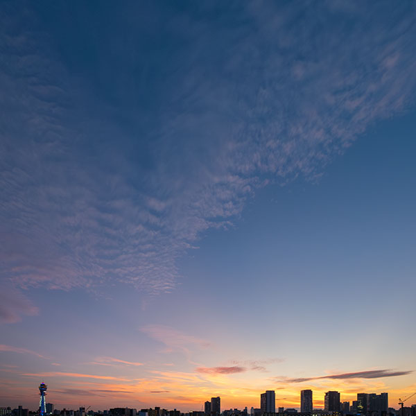 �ʓV�t���܂ޗ[�i