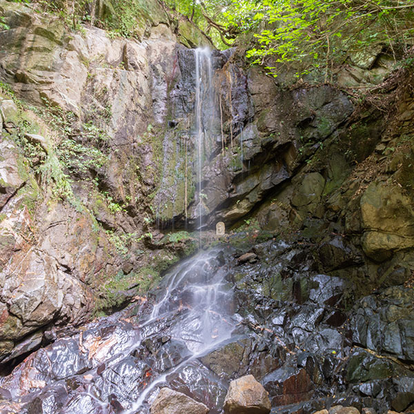 �����̑�^�ޗǌ�