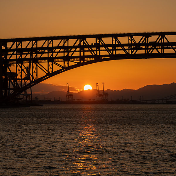 ����`�̗[�i