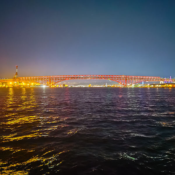 ����`�̖�i