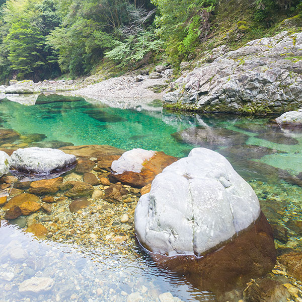 �ޗǌ��^�O�S��̉͌�