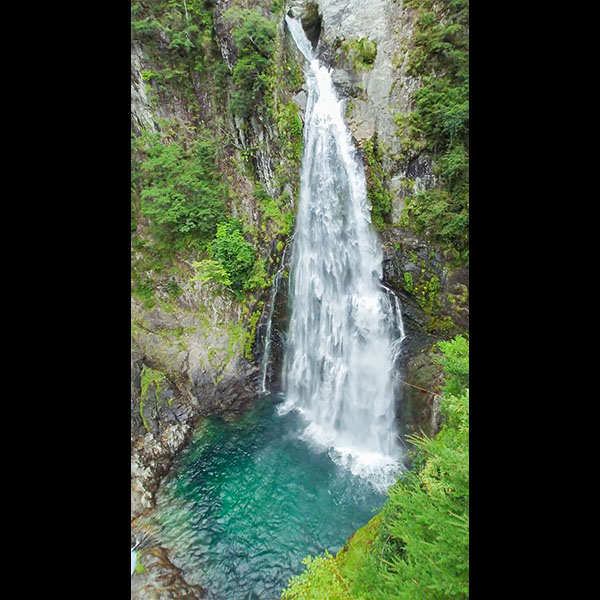 �ޗǌ��^�s�����d�̑�