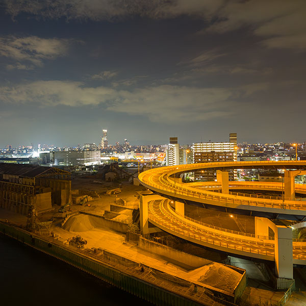 ���s���̖�i