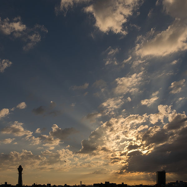 �ʓV�t���܂ޗ[�i