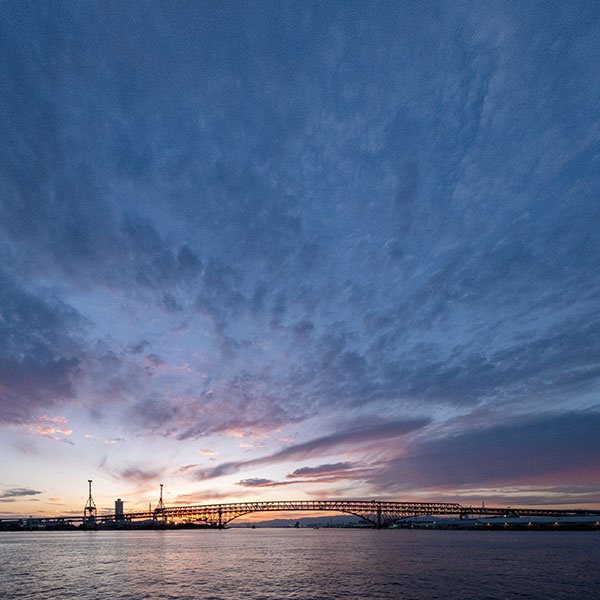 ����`�̗[�i