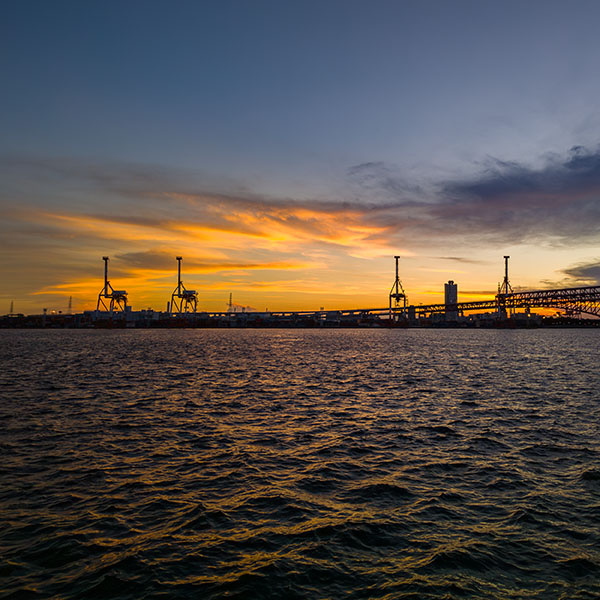 ����`�̗[�i