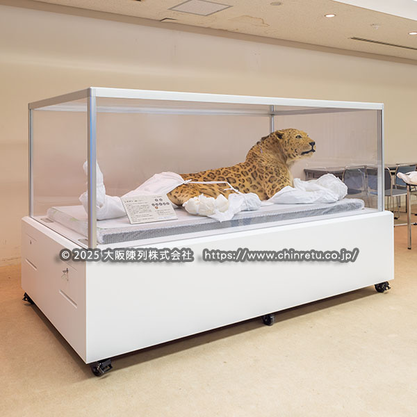 ���I�|���̔����W���p�^��^�����P�[�X�̐���̔�����