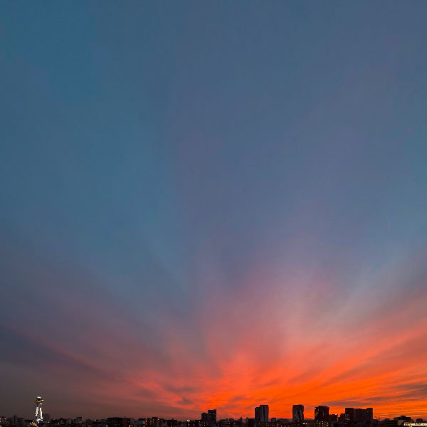 通天閣を含む夕景