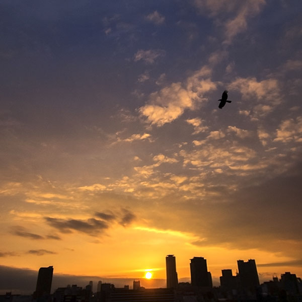 大阪難波上空の夕景