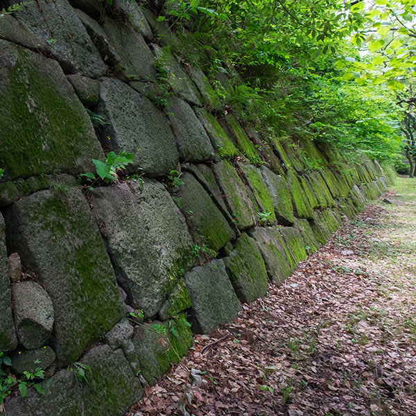 大阪城石垣の苔