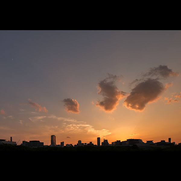 大阪城石垣からの夕景