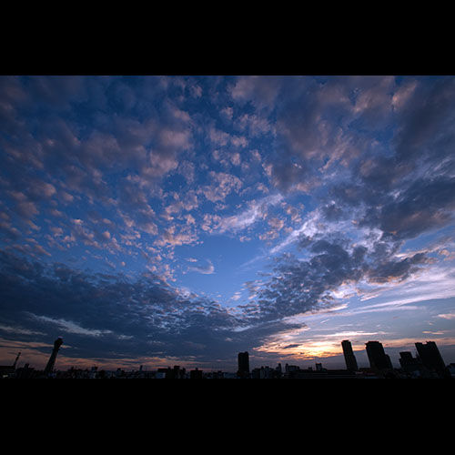 上町台地の上から撮った大阪市内の夕景
