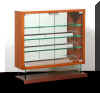 case_order_on_glass_l.jpg (75234 バイト)